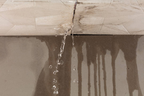 Professional Burst Pipe Cleanup technician working in Creola, OH